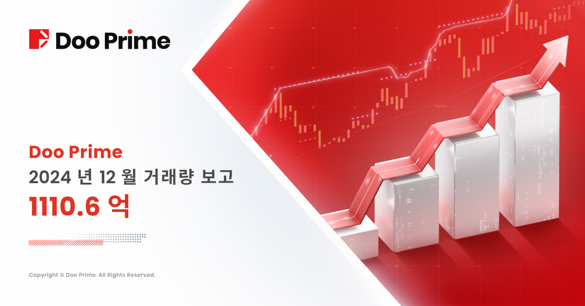 Doo Prime 2024년 12월 거래량 보고서